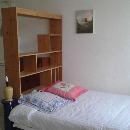 Apartament Le Sultan Du Theron 3Em Etage Le Puy-en-Velay Zewnętrze zdjęcie