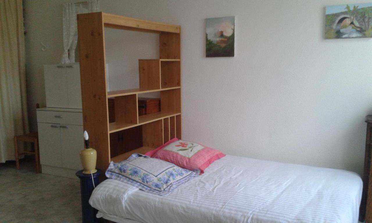 Apartament Le Sultan Du Theron 3Em Etage Le Puy-en-Velay Zewnętrze zdjęcie